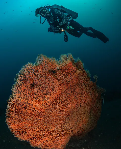 See the world differently