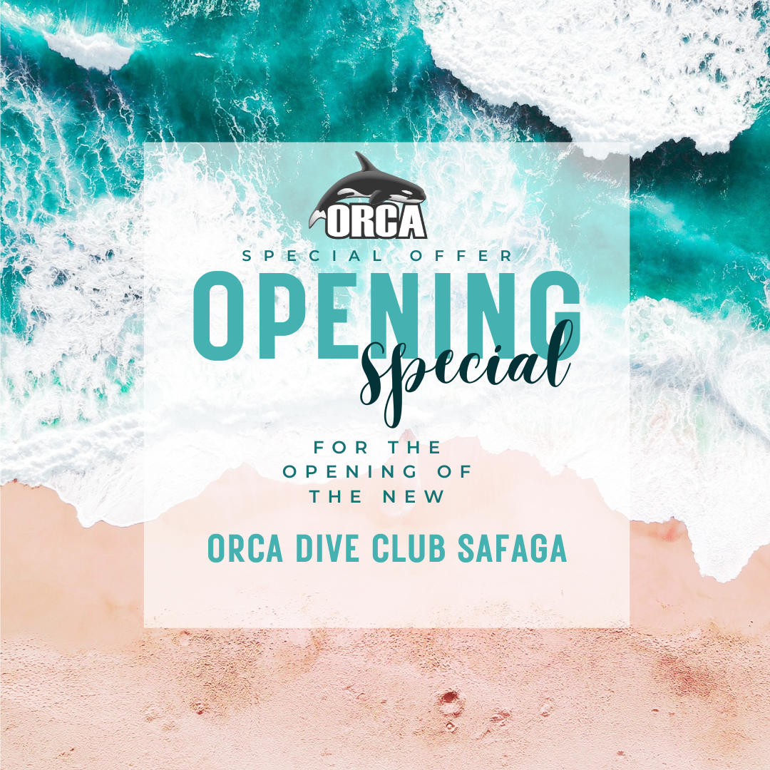 Opening special ORCA Dive Club Safaga & Amarina Abu Soma Resort
