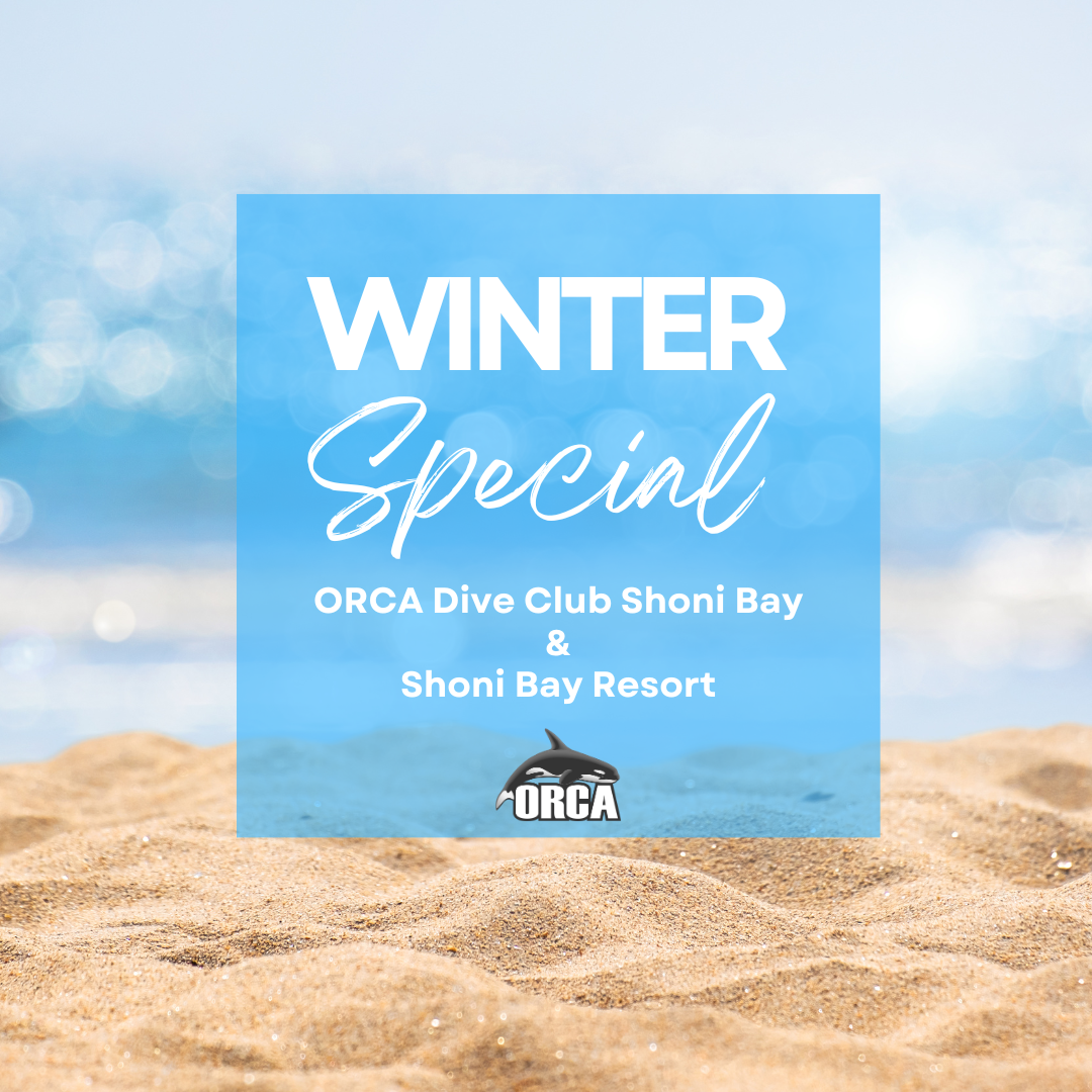 Winter special Shoni Bay Resort and ORCA Dive Club Shoni Bay