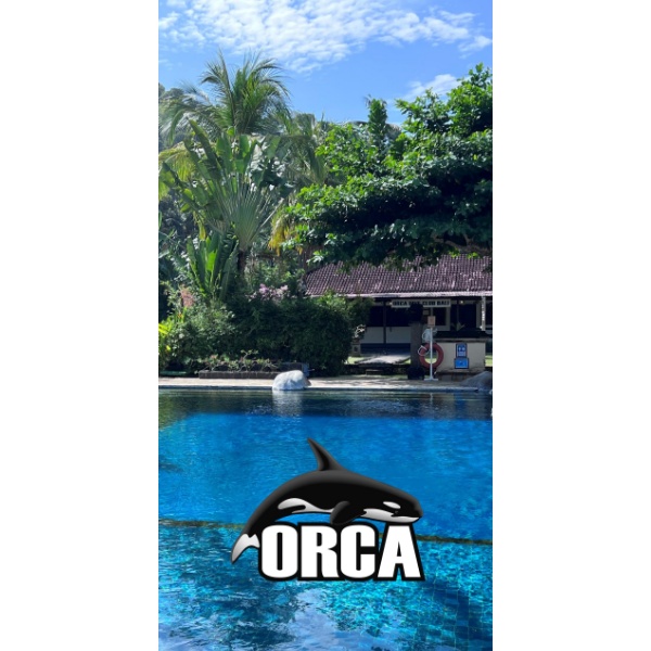 ORCA Dive Clubs App