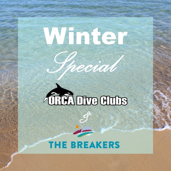 Speciale inverno The Breakers