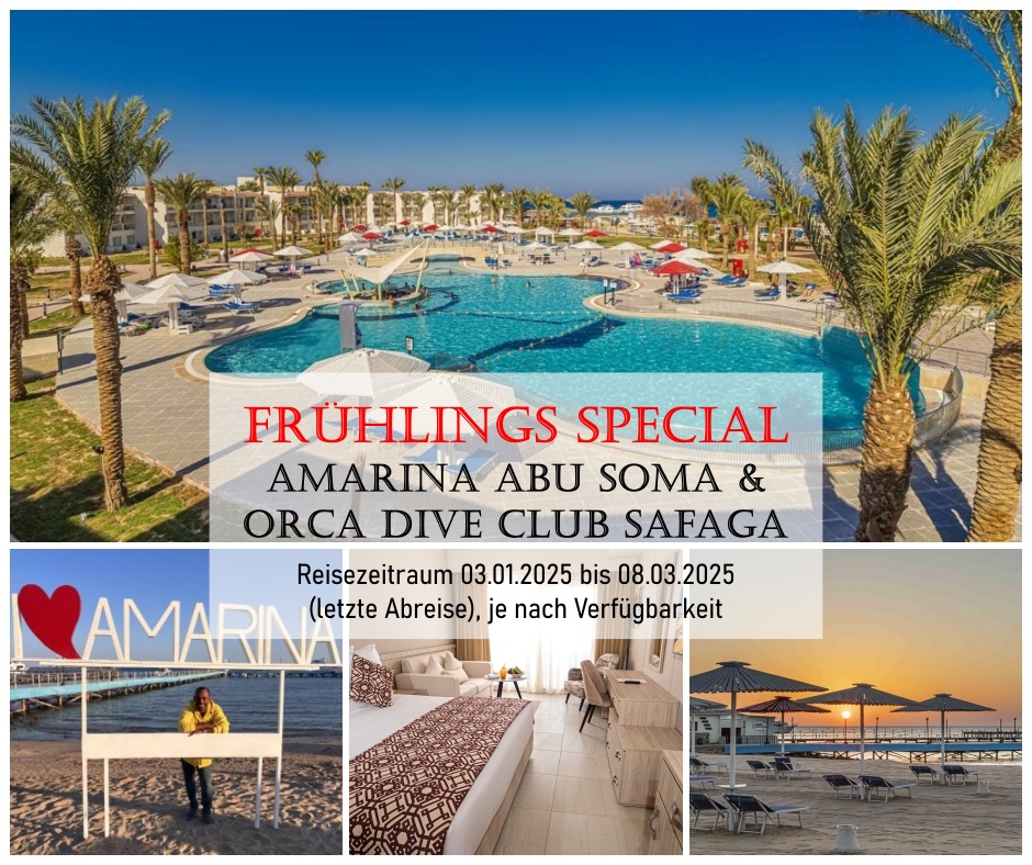 boot 2025 Special Amarina Abu Soma & ORCA Dive Club Safaga ORCA Dive