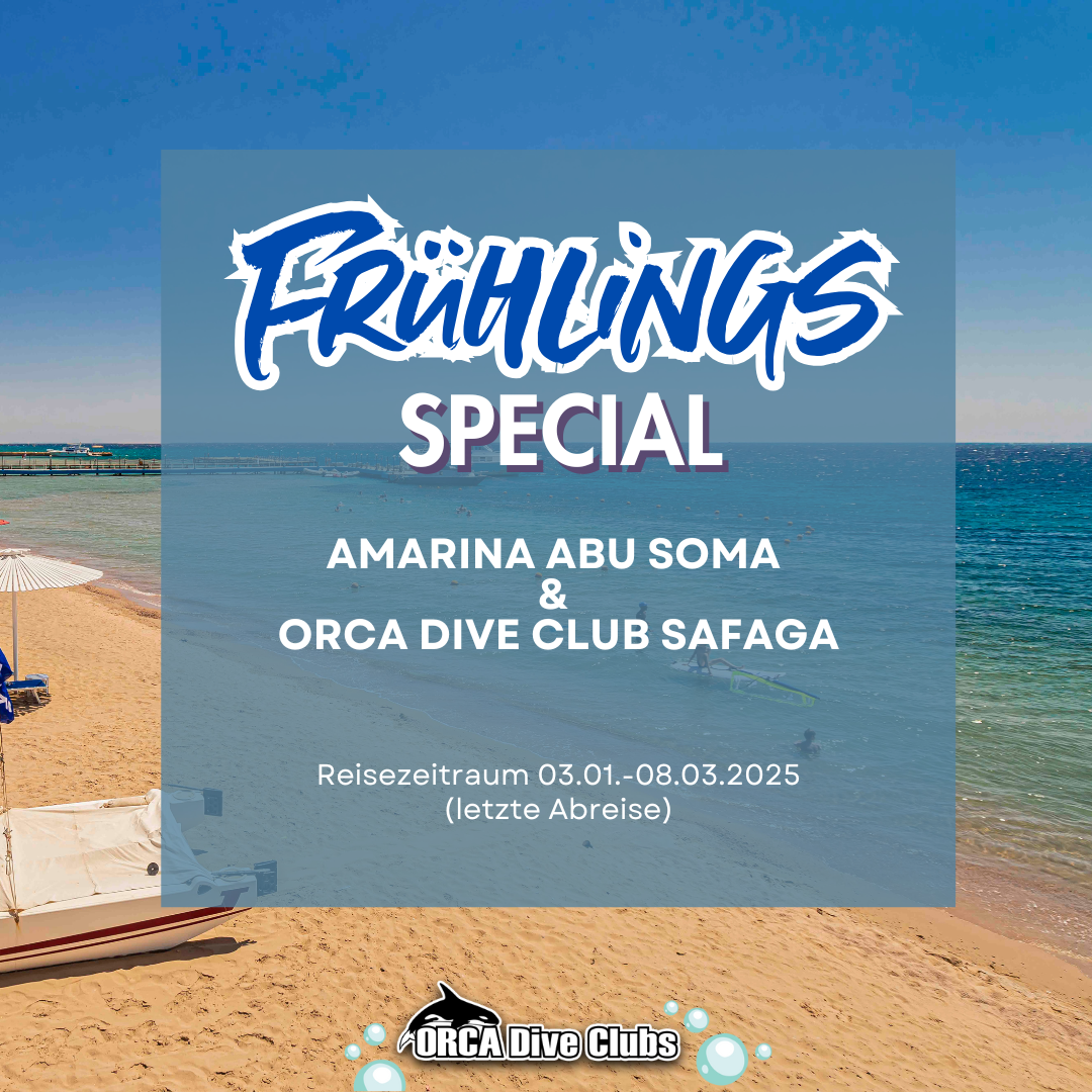 boot 2025 Special Amarina Abu Soma & ORCA Dive Club Safaga
