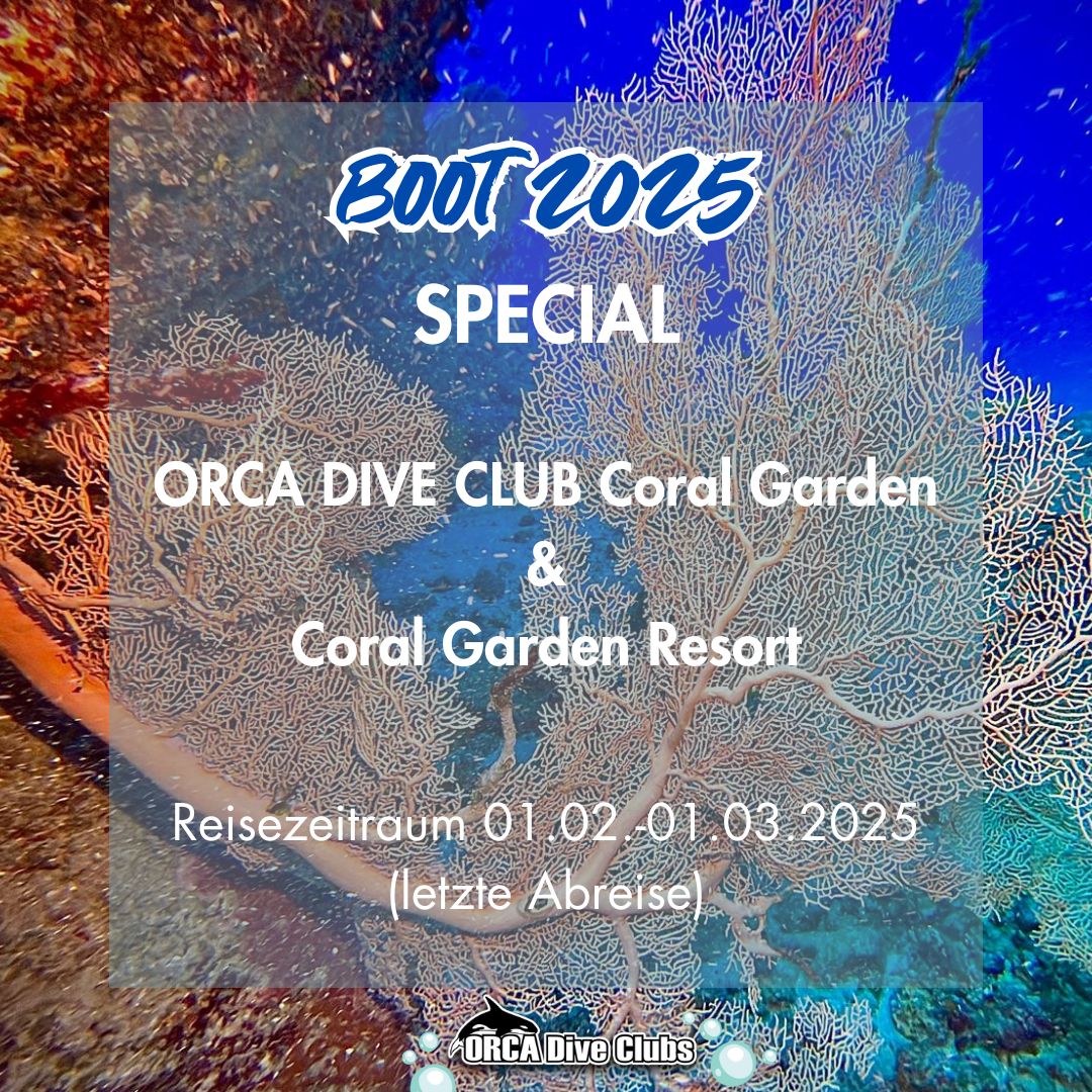 boot 2025 Special ORCA Dive Club Coral Garden & Coral Garden Resort
