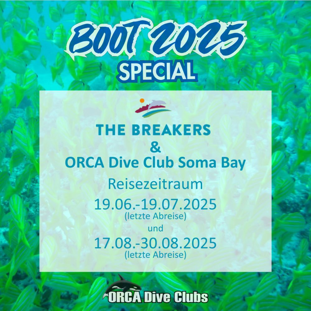 boot 2025 Special the breakers & ORCA Dive Club Soma Bay ORCA Dive Clubs
