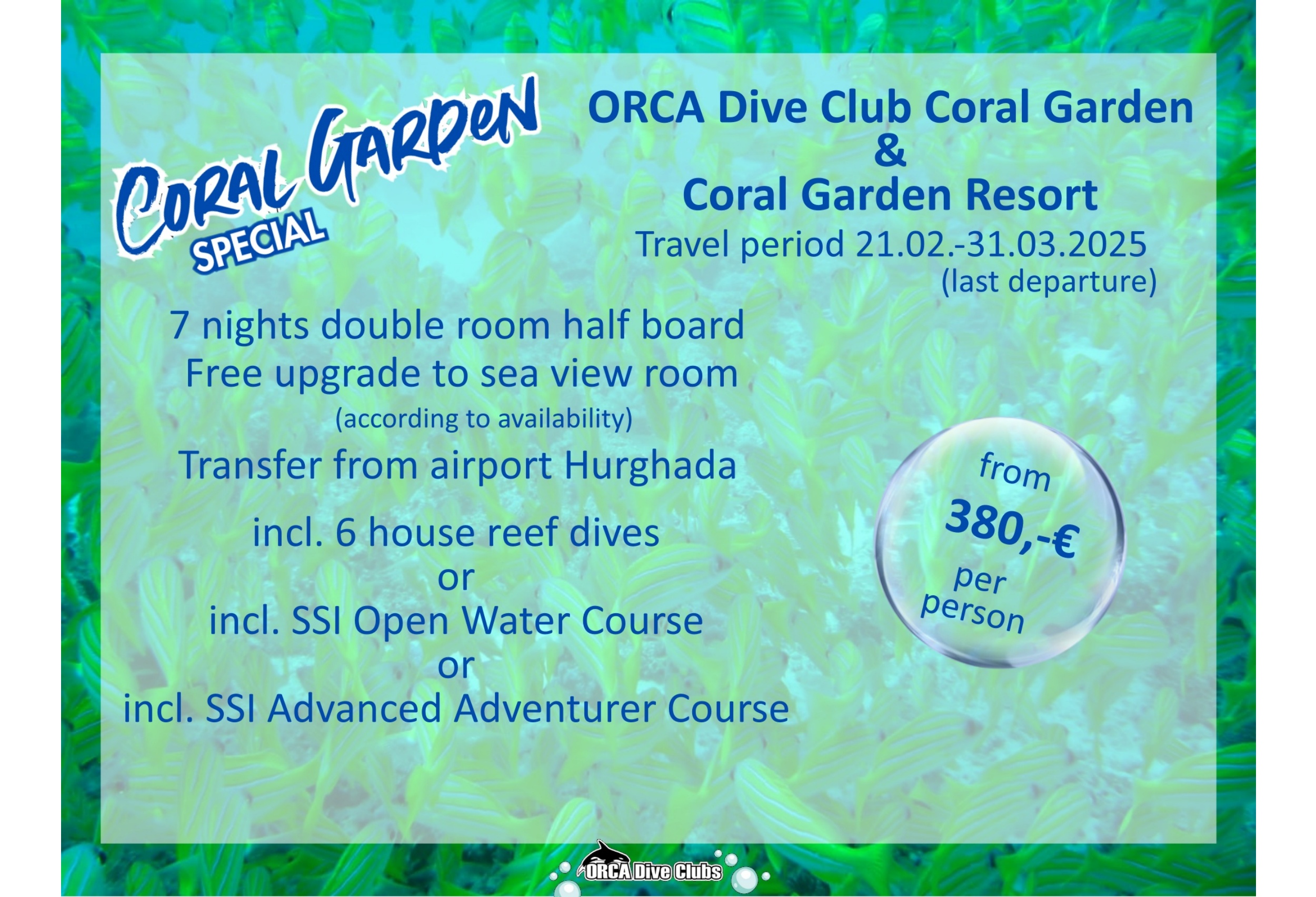 Special ORCA Dive Club Coral Garden and Coral Garden Resort