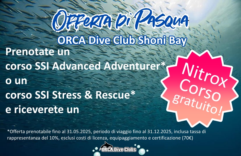 Offerta di Pasqua ORCA Dive Club Shoni Bay