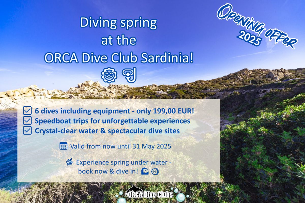 Opening offer ORCA Dive Club Sardinia 2025