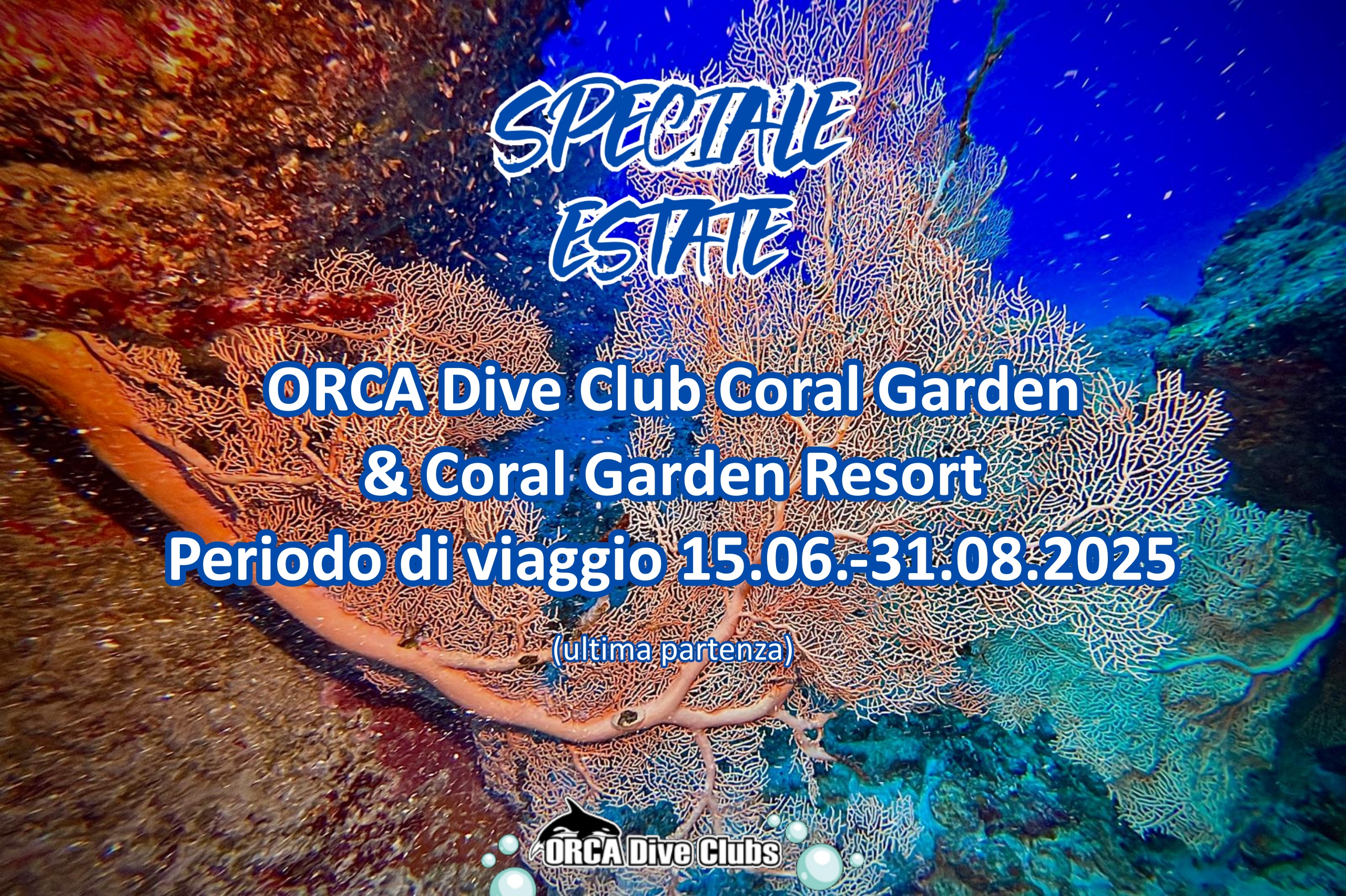 Offerta estiva ORCA Dive Club Coral Garden e Coral Garden Resort