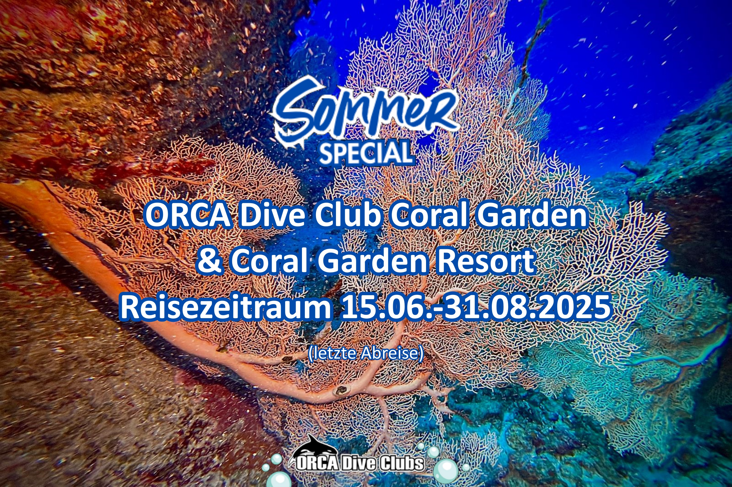 Sommer Angebot ORCA Dive Club Coral Garden und Coral Garden Resort