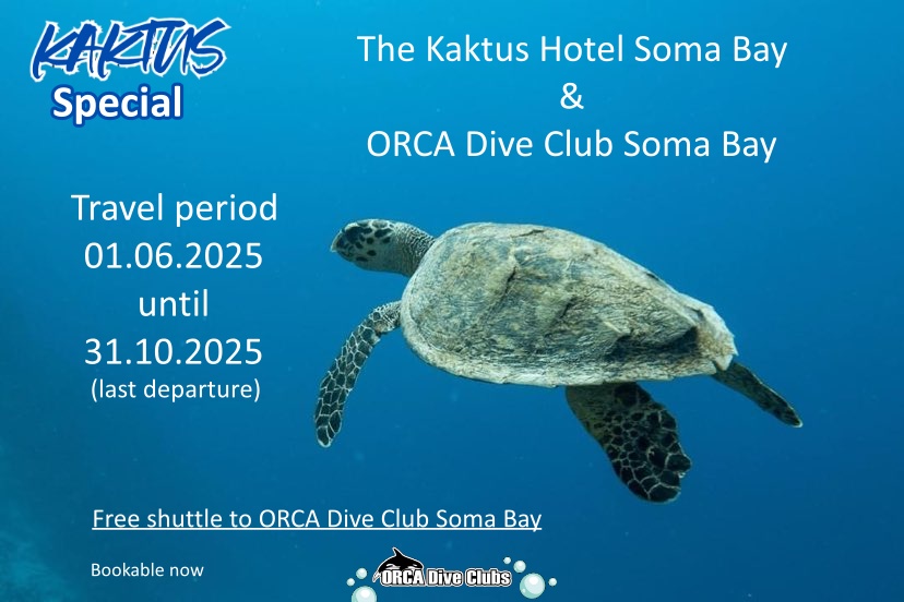 Special Kaktus Hotel Soma Bay and ORCA Dive Club Soma Bay