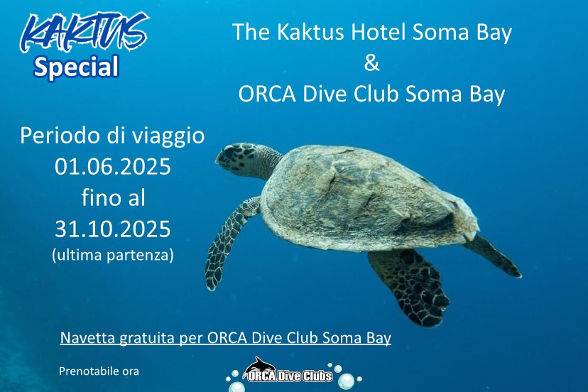 Speciale Kaktus Hotel Soma Bay e ORCA Dive Club Soma Bay