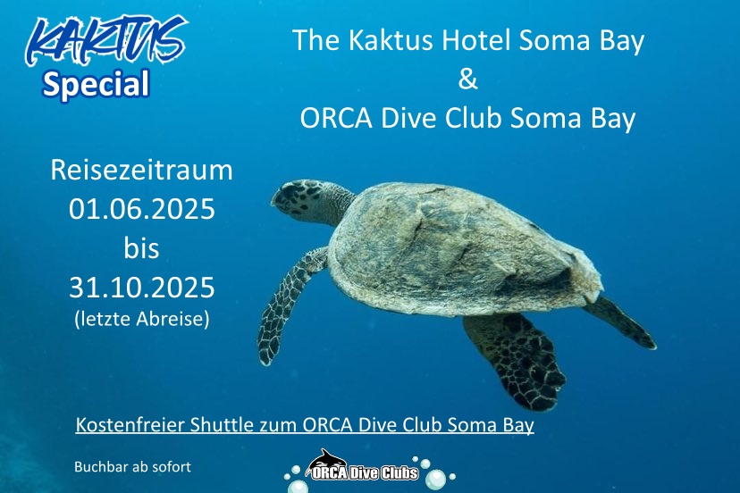 Special Kaktus Hotel Soma Bay und ORCA Dive Club Soma Bay