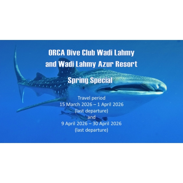 Spring Special 2026 ORCA Dive Club Wadi Lahmy and Wadi Lahmy Azur Resort